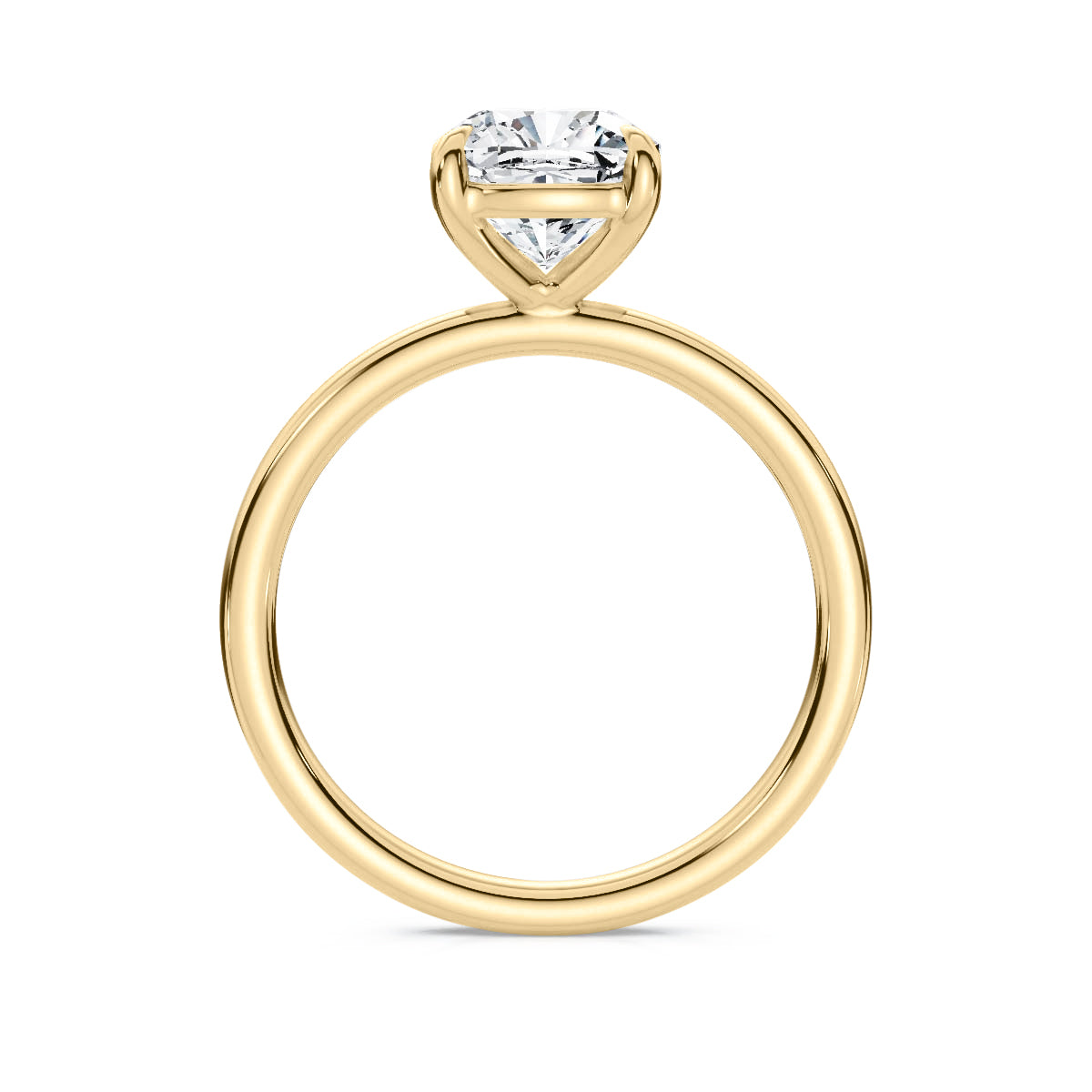 #metal_14K Gold (Yellow)