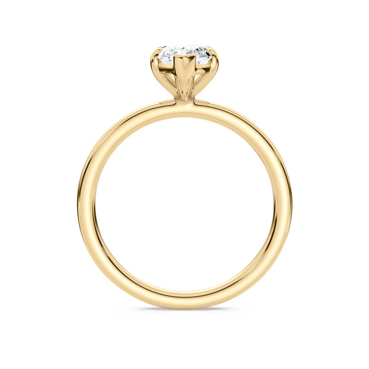 #metal_18K Gold (Yellow)